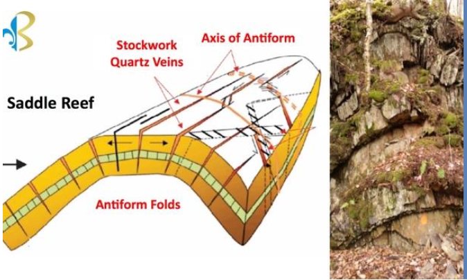 Saddle Reef antiform folds diagram
