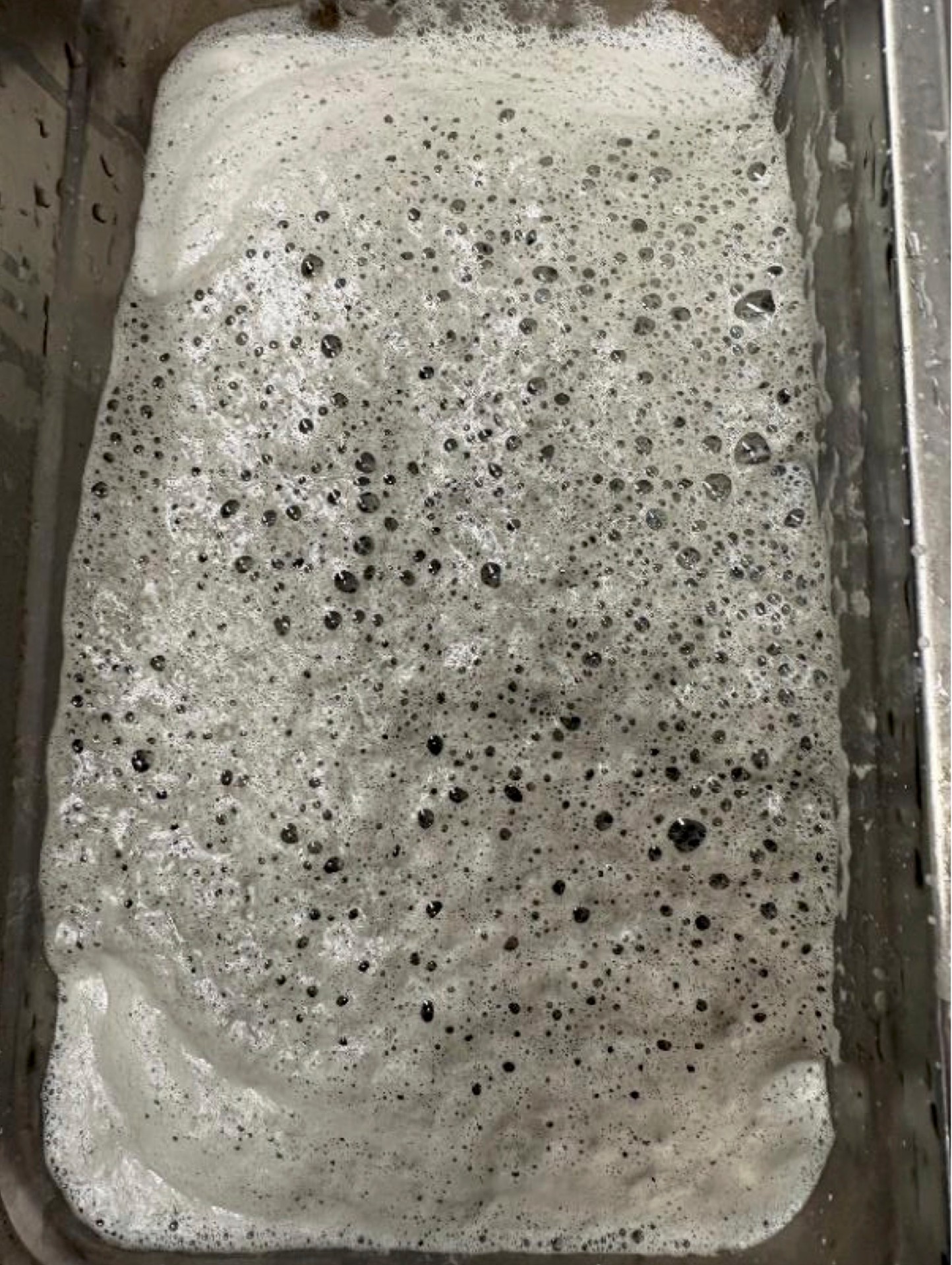 FLOTATION FROTH