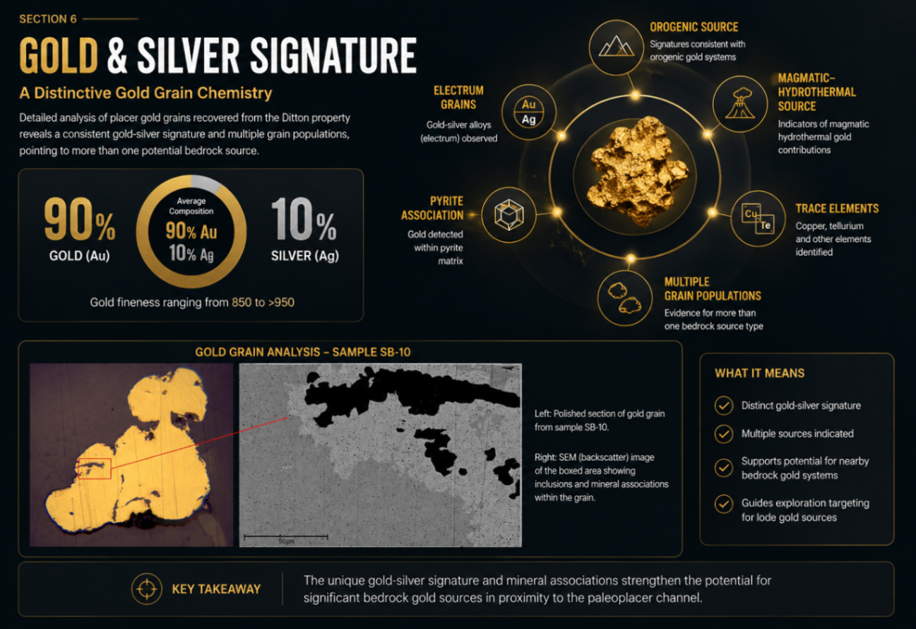 Gold and silver signature analysis board for Ditton