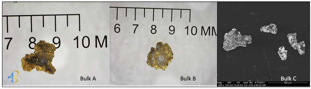 les plus grosses particules d'or de chaque échantillon en vrac