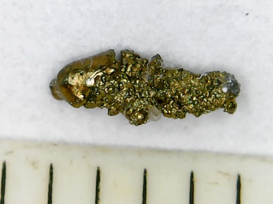 gold grain from sample