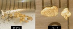 Champs d’Or en Beauce Les résultats préliminaires indiquent que les grains d'or sont largement distribués dans le canal placérien et la carrière de Ditton.