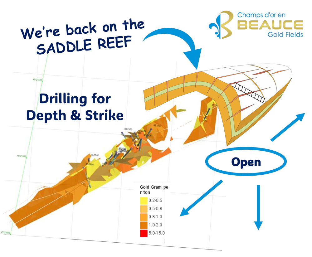 Back-on-the-Saddle-Reef